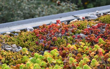 the cost of Scotch Street green roof installation