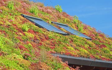Scotch Street living roof systems