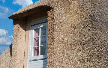 Scotch Street thatch roof disadvantages